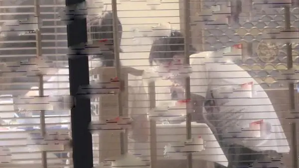 张继科新恋情疑似曝光 被拍与一女子频繁约会