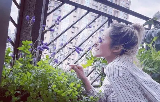 Taiwan media revealed that Xiao Yaxuan wanted to build a "Disneyland" for his dog