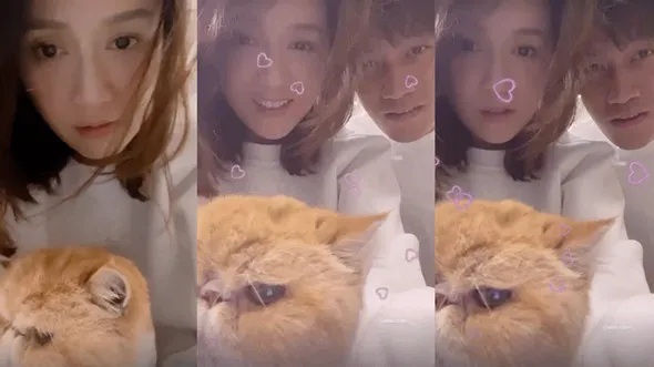 陳喬恩與艾倫穿情侶裝甜笑同框 抱貓拍視頻甜蜜十足