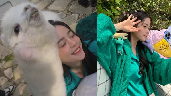 Ouyang Nana basks in spring candy color blockbuster shooting gags, holding alpacas and selling cute in the mirror