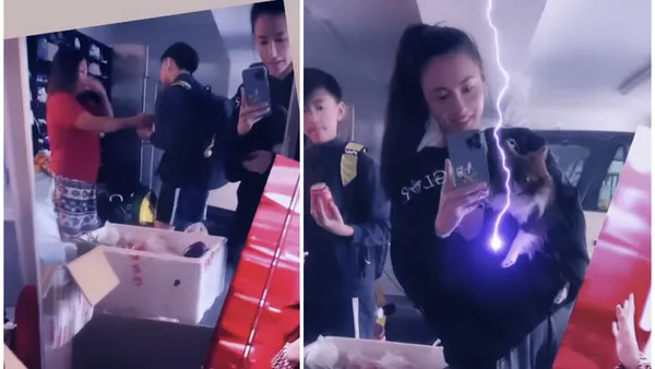 张柏芝对镜自拍状态佳 二儿子Quintus背书包出镜阳光帅气