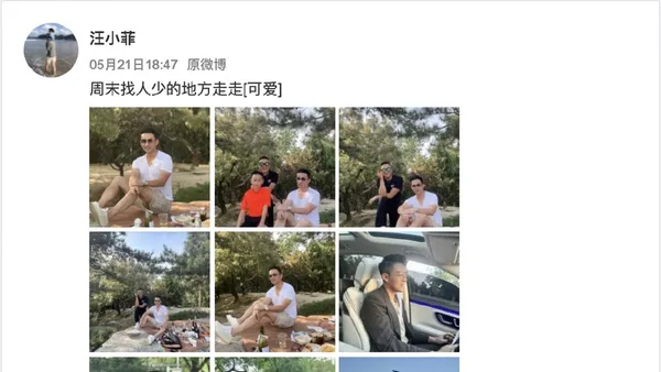 Eat your own melon! Wang Xiaofei participated in the voting of the same picnic photo as Zhang Yingying