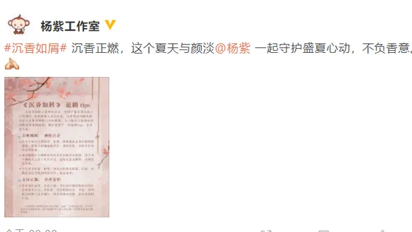 楊紫成毅倡導粉絲文明觀劇