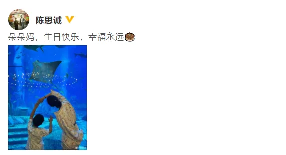 陈思诚晒照为佟丽娅庆生:朵朵妈生日快乐幸福永远