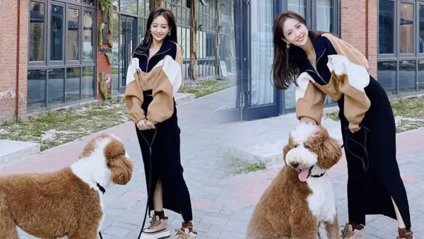 佟麗婭和小狗貼貼超可愛 與友人車內合照感情好