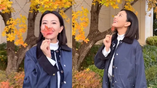高圓圓手拿楓葉對鏡甜笑 藍色外套搭披肩發盡顯温柔氣質