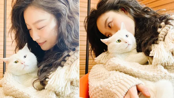 倪妮抱貓咪眼神温柔 米色毛衣慵懶捲髮秀精緻側顏