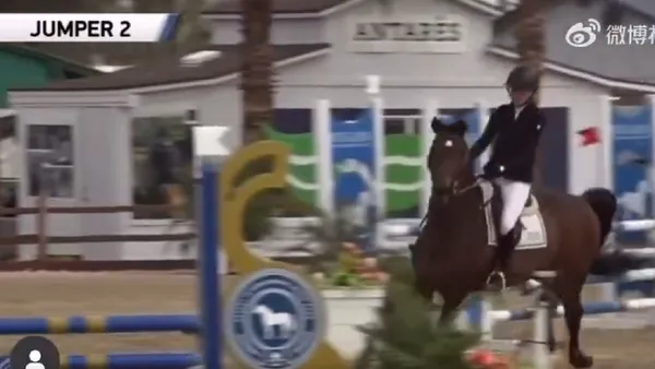 炫妻狂魔吴彦祖上线 分享老婆马术障碍赛视频满满崇拜