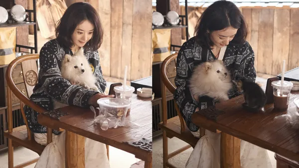 工作室分享赵丽颖最新剧组花絮 短发造型跟小狗互动好治愈