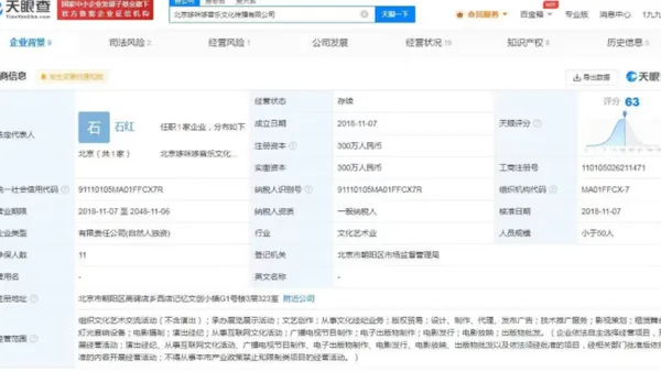 张靓颖公司擅自从事网络文化活动 被处以警告并罚款