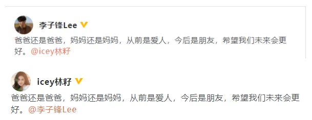 李子峰林籽宣布离婚:从前是爱人 今后是朋友