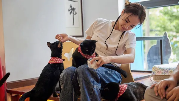 蔡依林拜访武汉黑猫公益咖啡屋 心酸救助故事引蔡依林落泪