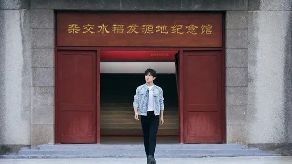 为家乡代言!易烊千玺受邀担任怀化城市形象大使