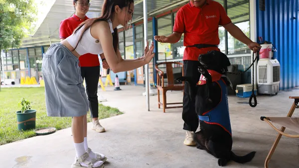 蔡依林走进西安导盲犬中心 体验跟随导盲犬出行