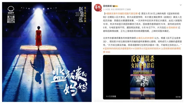 《监狱来的妈妈》撤档:别拿司法真相,换流量的眼泪