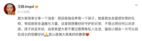 王鸥官宣独自养育一女：坦白不是狂欢，公众人物的私生活该划下怎样边界